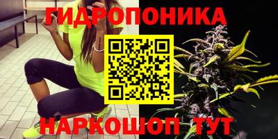 мет Новозыбков