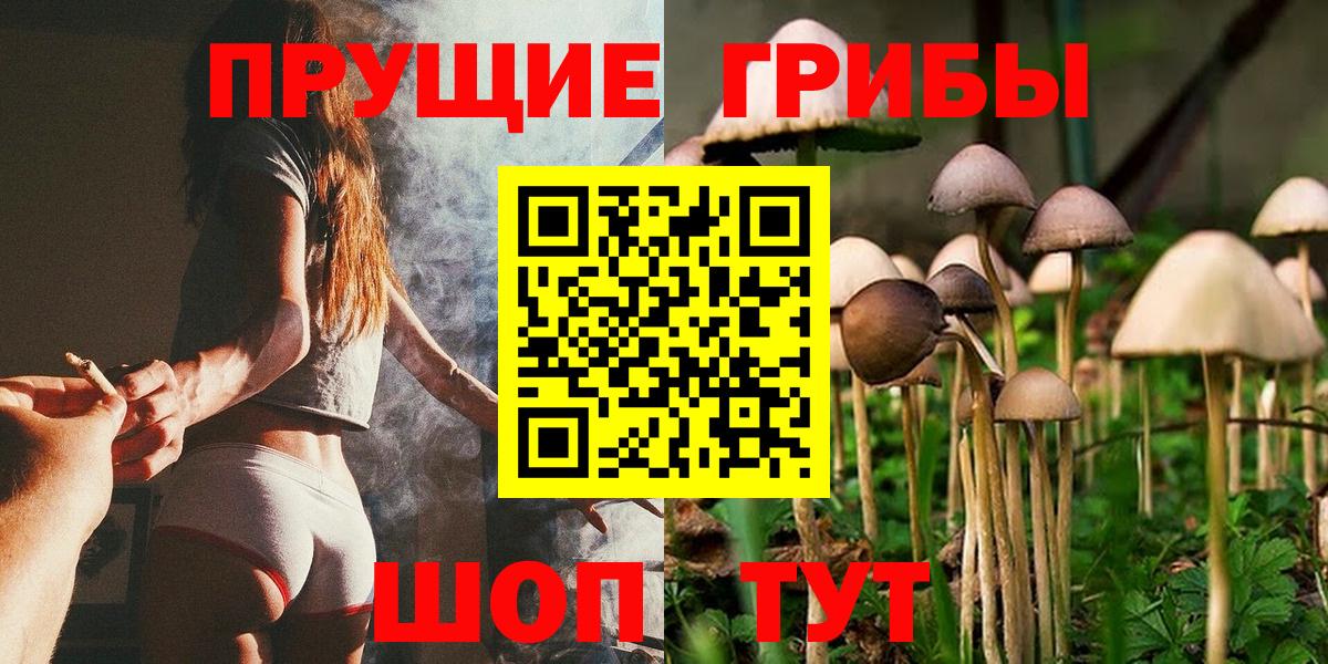 Псилоцибиновые грибы Psilocybe Саратов